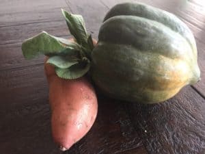 acorn squash