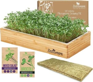 Grow your own microgreens