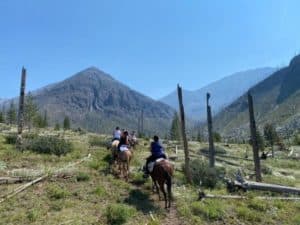 Riding Mules and Horses in WY