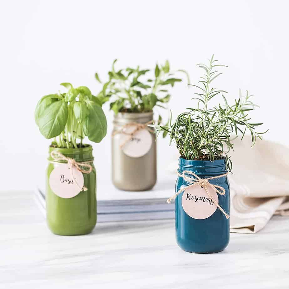 Thoughtfully Gifts Mason Jar Garden Grow Your Own Herbs Gift Set Contains Rosemary Basil And Sage Seeds With 6 Soil Pods Happy Healthy Caregiver