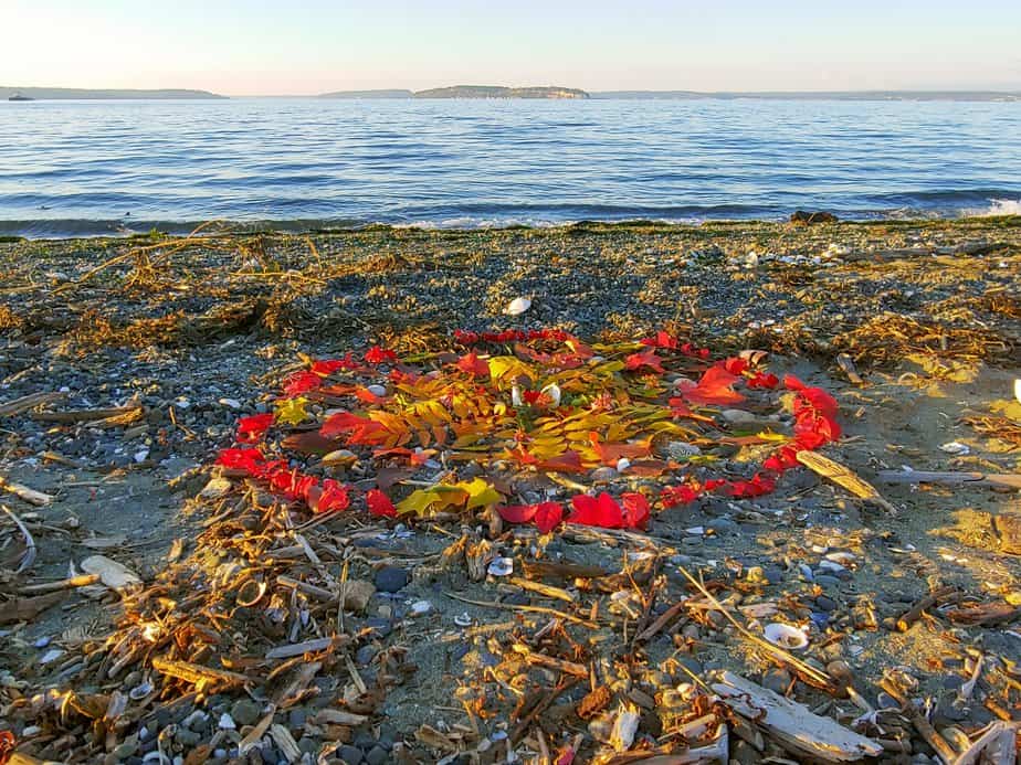 Mandala on the beach created by Cassidy Bastien